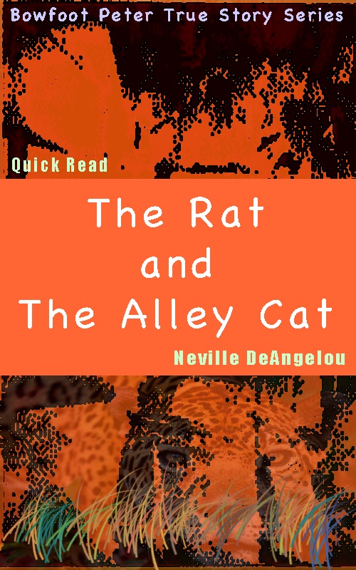The Rat & The Alley Cat